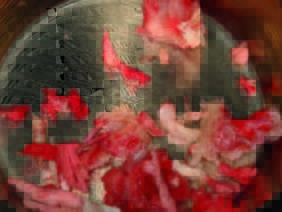 Asservierte Knochenpartikel und Bohrspäne