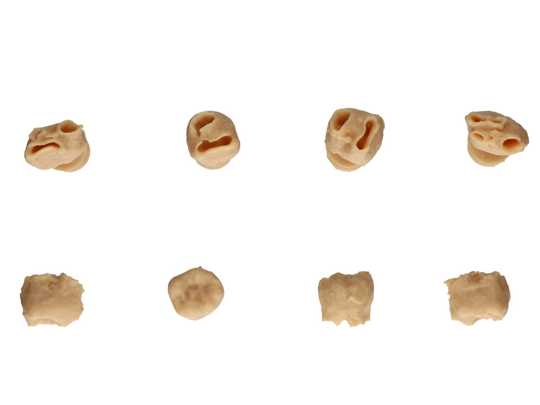 Im 3D-Druck-Verfahren generierte Zähne